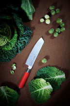 F. Dick, Red Spirit, Usuba, 18 cm