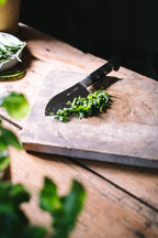 F. Dick, 1905, Kräuter- und Parmesanmesser, 12 cm