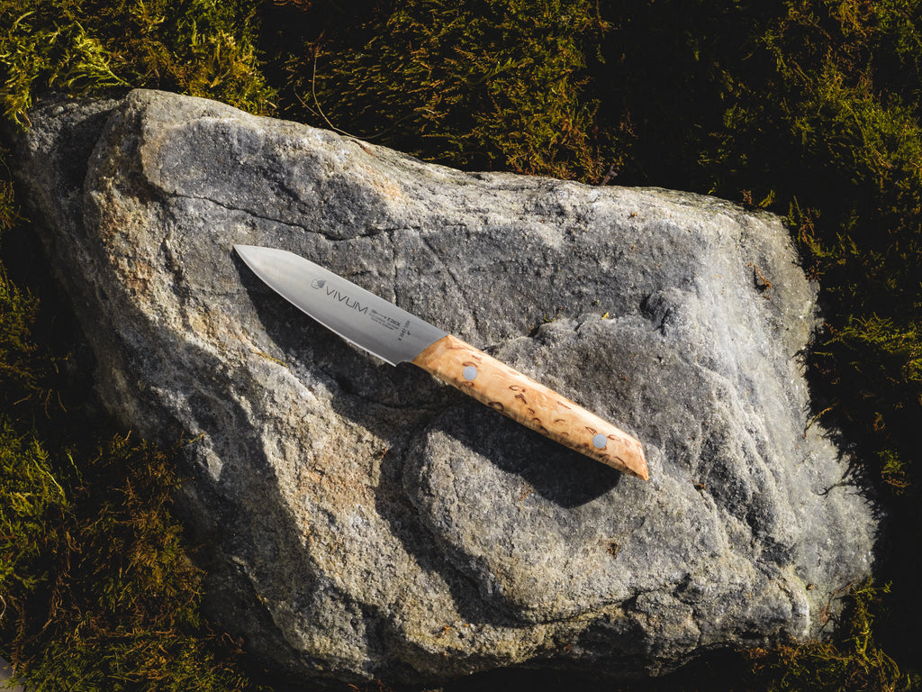 F. Dick, Vivum, Officemesser, 10 cm