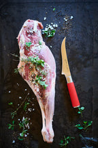 F. Dick, Red Spirit, Ausbeinmesser flexibel, 15 cm