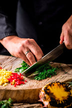 F. Dick, Red Spirit, Tanto Universalmesser, 21 cm