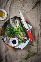 F. Dick, Red Spirit, Filetiermesser felxibel, 18 cm